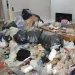 Rumah Penuh Sampah Tempat Ditemukannya Mayat Seorang Pria di Pati. (Foto/Doc)