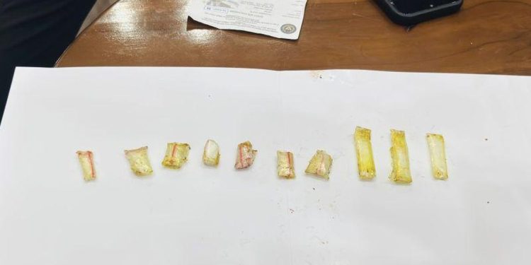 Petugas Lapas Narkotika Jakarta Gagalkan Upaya Penyelundupan Sabu. (Foto/Doc)