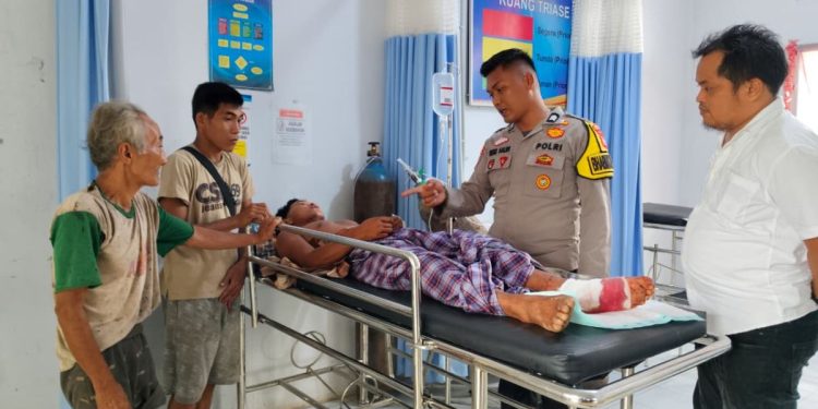 Pria di Inhu Selamat usai Dikeroyok Tiga Harimau di Tengah Hutan. (Foto/Doc)