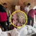Istri Tewas, Suami Kritis saat Bulan Madu di Penginapan Solok. (Foto/Doc)