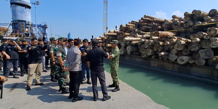 Satgas PKH Bongkar Kasus Kayu Ilegal asal Kepulauan Mentawai. (Foto/Doc)