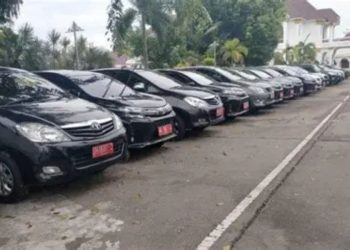 Kenderaan Dinas milik Pemerintah Kepulauan Meranti. (Foto/Doc).