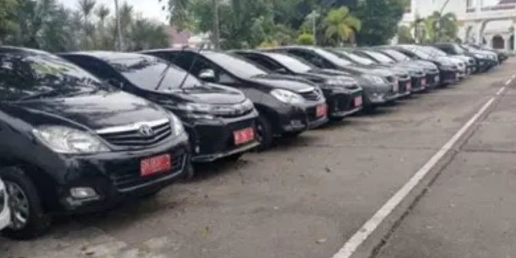 Kenderaan Dinas milik Pemerintah Kepulauan Meranti. (Foto/Doc).
