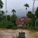Sungai Meluap, Banjir Rendam Padang Pariaman. (Foto/Doc)