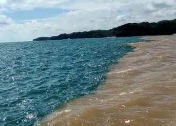 Fenomena Air Laut Dua Warna di Pantai Baron Gunungkidul. (Foto/Doc)