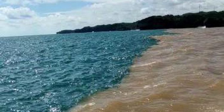Fenomena Air Laut Dua Warna di Pantai Baron Gunungkidul. (Foto/Doc)