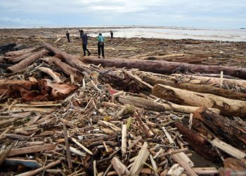 Ribuan Gelondongan Kayu Penuhi Bibir Pantai Parkit Padang Usai Banjir Bandang Sumbar. (Foto/Doc)