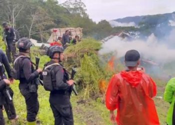 Bareskrim Polri Temukan 57,75 Hektar Ladang Ganja di Gayo Lues. (Foto/Doc)