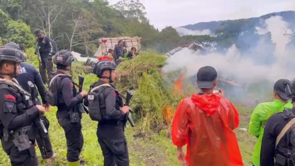 Bareskrim Polri Temukan 57,75 Hektar Ladang Ganja di Gayo Lues. (Foto/Doc)