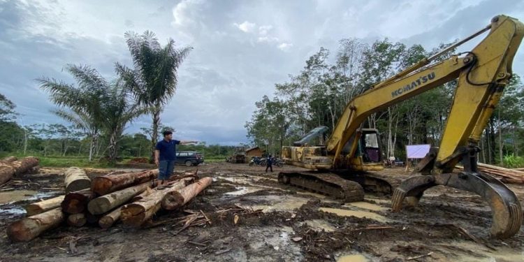 Kemenhut Segel Tiga Entitas Baru di Tapanuli Selatan Terkait Dugaan Pemicu Banjir Sumatera. (Foto/Doc)