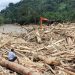 Kayu Gelondongan Hanyut Saat Banjir Sumatra. (Foto/Doc)