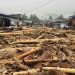 Gelondongan Kayu Terbawa Banjir di Sumatera. (Foto/Doc)