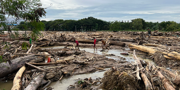Gelondongan kayu terbawa arus banjir bandang di Sumatera. (Foto/Doc)