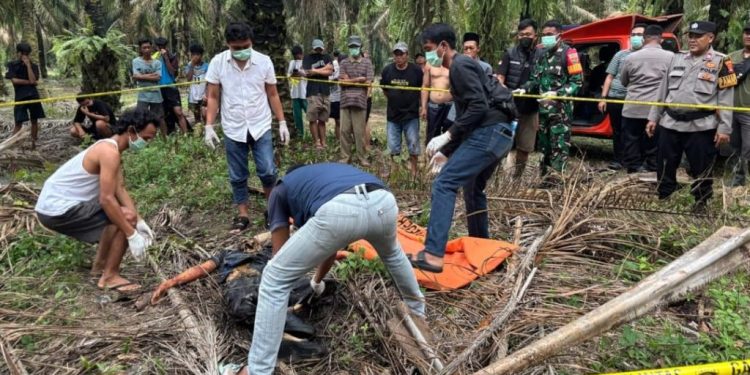 Jasad Pelajar Hilang 9 Hari Ditemukan Membusuk di Perkebunan Sawit Tulang Bawang. (Foto/Doc)