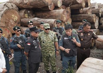 Kemenhut Proses Hukum Kasus Pembalakan Hutan Sipora di Mentawai. (Foto/Doc)