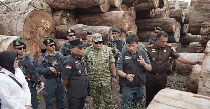 Kemenhut Proses Hukum Kasus Pembalakan Hutan Sipora di Mentawai. (Foto/Doc)
