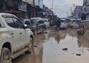 Aceh Tamiang Lumpuh Total Usai Banjir Bandang: Ribuan Mobil Teronggok 5 Km. (Foto/Doc)