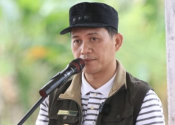 Bupati Aceh Selatan, Mirwan. (Foto/Doc)