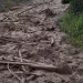 Sungai Wih Gile Bener Meriah Meluap Membawa Material Lumpur dan Kayu. (Foto/Doc)