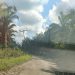Jalan masuk Pantai Buaya Kelurahan Pekan Besitang yang rusak parah. (Foto/Jasniwati).