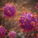 Ilustrasi virus yang menyebabkan Super Flu Subclade K. (Foto/Doc)