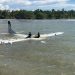 Pesawat Smart Air Mendarat Darurat di Laut Nabire Barat. (Foto/Doc)