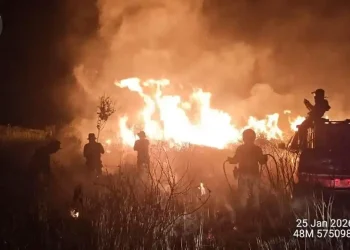Kebakaran Hebat di Way Kambas. (Foto/Doc)
