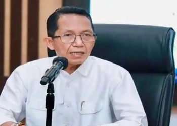 Kepala BP Batam Amsakar Achmad. (Foto/Humas).