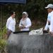 BP Batam Kecam Perusakan Puluhan Tanaman Bugenvil. (Foto/Humas).