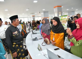 Gubernur Kepri Resmikan Mall Pelayanan Publik Karimun. (Foto/Humas).