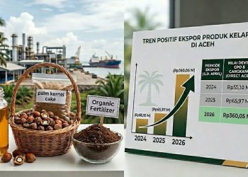 Kinerja Ekspor Produk Kelapa Sawit Aceh Jadi Nilai Tambah dan Kontribusi Ekonomi Daerah. (Foto/Humas).