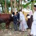 Gubernur Kepri Ajak Warga Kepri Teladani Keikhlasan Dari Nabi Ibrahim. (Foto/Kominfo).