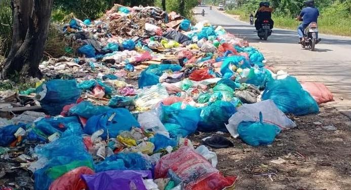 Salah satu titik tempat pembuangan sampah liar yang dibuang dipinggir adalah jalan arah ke Marina City dan Sei Tamiang. (Foto/Fuat).