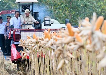 Presiden Prabowo Subianto di dampingi Menteri Pertanian Amras Sulaiman tampak menyetir traktor. (Foto/Net).