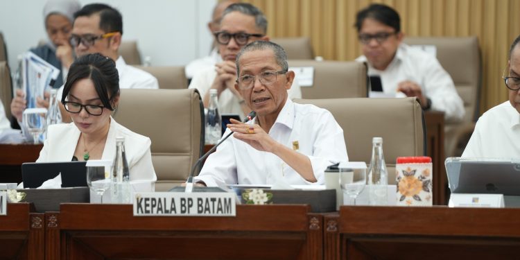 Kepala BP Batam Amsakar Achmad dan Wakil Ketua BP Bbatam Li Claudia Chandra ketika berada di DPR RI. (Foto/Humas).