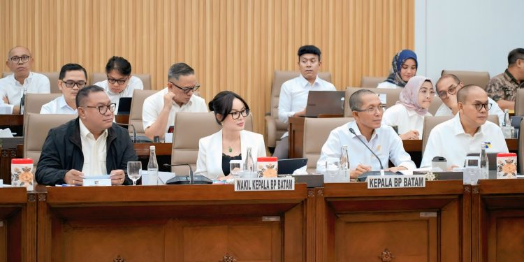 Kinerja Keuangan BP Batam Hingga 15 Juni 2026 Menunjukkan Tren Positif.(Foto/Istimewa).