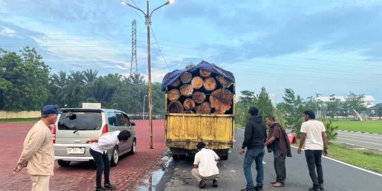 Detasemen Intelijen Kodam I/BB Tangkap 2 Mobil Truk Bawa Kayu Gelondongan Hasil Ilegal Loging. (Foto/Supriadi).