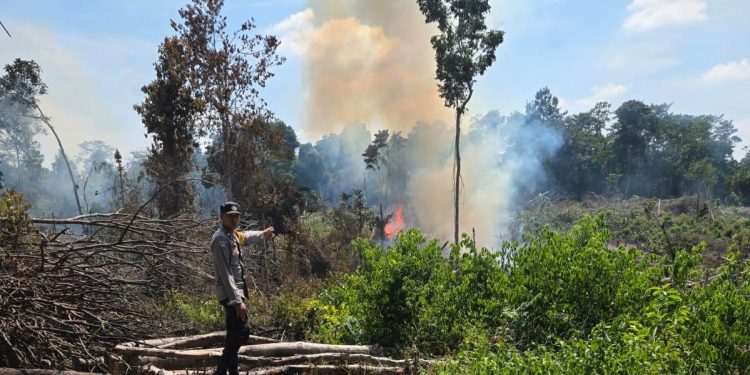 Buka Lahan Dengan Cara Dibakar, Warga Lubuklinggau Utara Diamankan. (Foto/Dika).