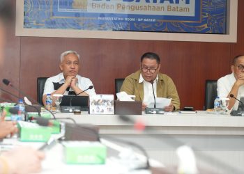 Pertimbangan Daya Saing Investasi, BP Batam Tunda Penyesuaian Tarif Peti Kemas. (Foto/Humas).
