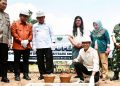 Kepala BP Batam Amsakar Achmad meletakan batu pertama pembangunan  SMK 13 Kota Batam. (Foto/Humas).