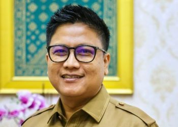 Kepala Diskominfo Provinsi Kepri, Hendri Kurniadi, (Foto/Istimewa).