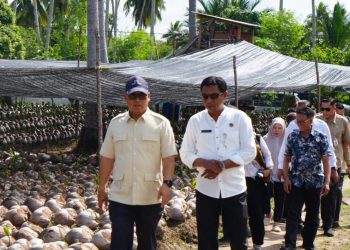 Wakil Gubernur Kepri Tinjau Pengembangan Bibit Kelapa Unggul di Desa Cemaga Tengah, Natuna. (Foto/Istimewa).