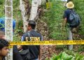 Bea Cukai Lhokseumawe Perkuat Sinergi, Turut Musnahkan Ladang Ganja di Sawang. (Foto/Humas).