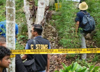 Bea Cukai Lhokseumawe Perkuat Sinergi, Turut Musnahkan Ladang Ganja di Sawang. (Foto/Humas).