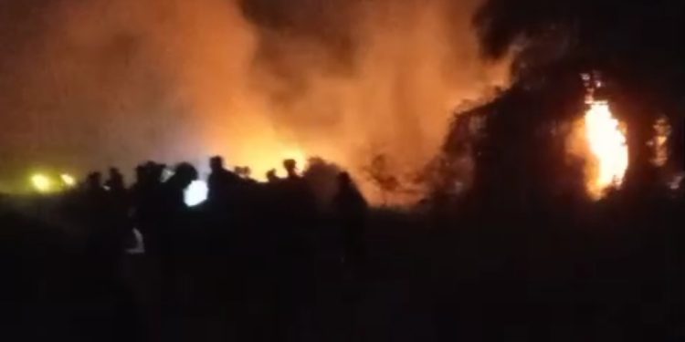 Kebakaran Hutan Melanda Wilayah Kalimantan Barat. (Foto/Nicolas).