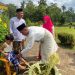 Mandi Safar di Replika Istana Damnah, Merawat Tradisi dan Ingatan Masyarakat Melayu. (Foto/Handoyo).