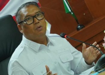 Wakil Gubernur Kepulauan Riau Nyanyang Haris Pratamura . (Foto/Istimewa).