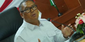 Wakil Gubernur Kepulauan Riau Nyanyang Haris Pratamura . (Foto/Istimewa).