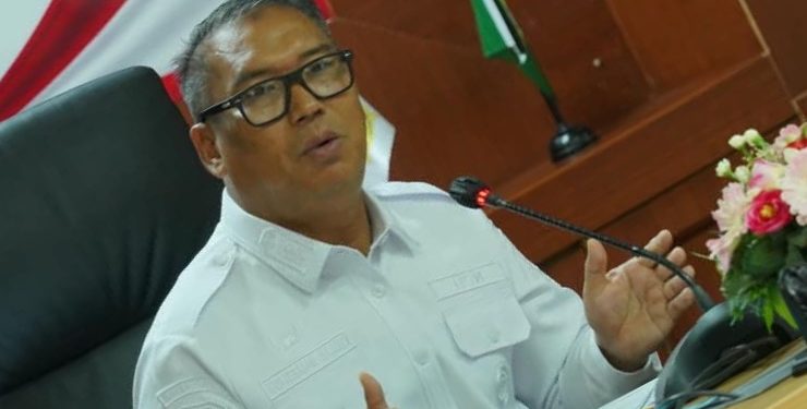 Wakil Gubernur Kepulauan Riau Nyanyang Haris Pratamura . (Foto/Istimewa).