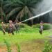 Antisipasi Karhutla, PTPN IV PalmCo Perkuat Deteksi Dini dan Patroli di Sumatera-Kalimantan.(Foto/Sabungan).